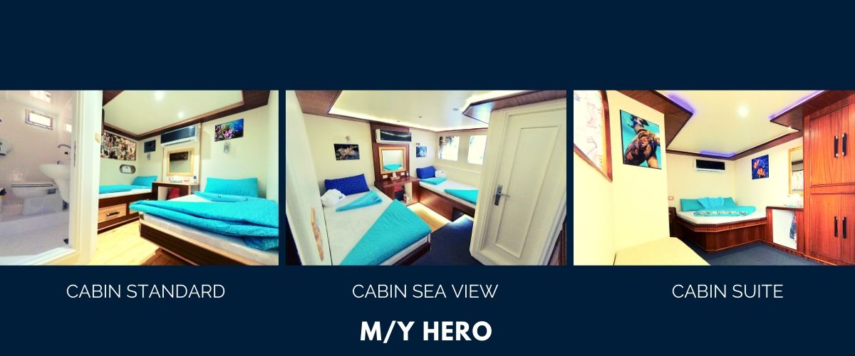 Cabin type Hero Red Sea